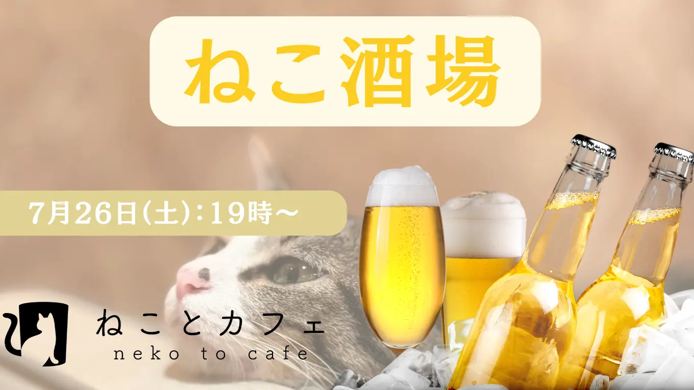 【ねこ酒場を7月26日(土)19時から開催！】事前ご予約制にて受付開始