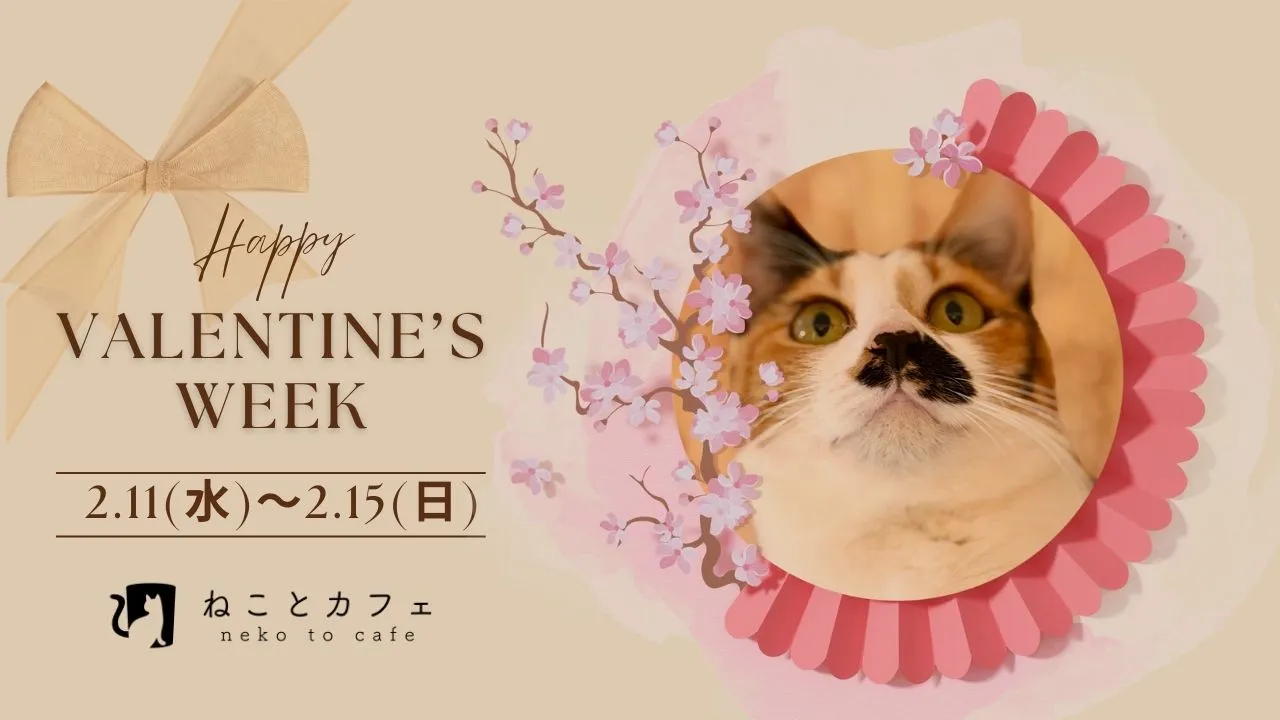 【2026年バレンタインイベント】2月11日から感謝のチョコッとプレゼント