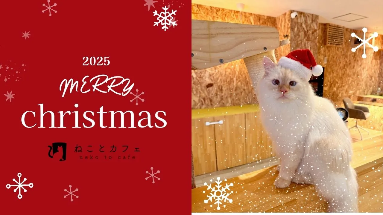 2025年Merry Christmasイベント！24・25日限定で皆様にプレゼントを！