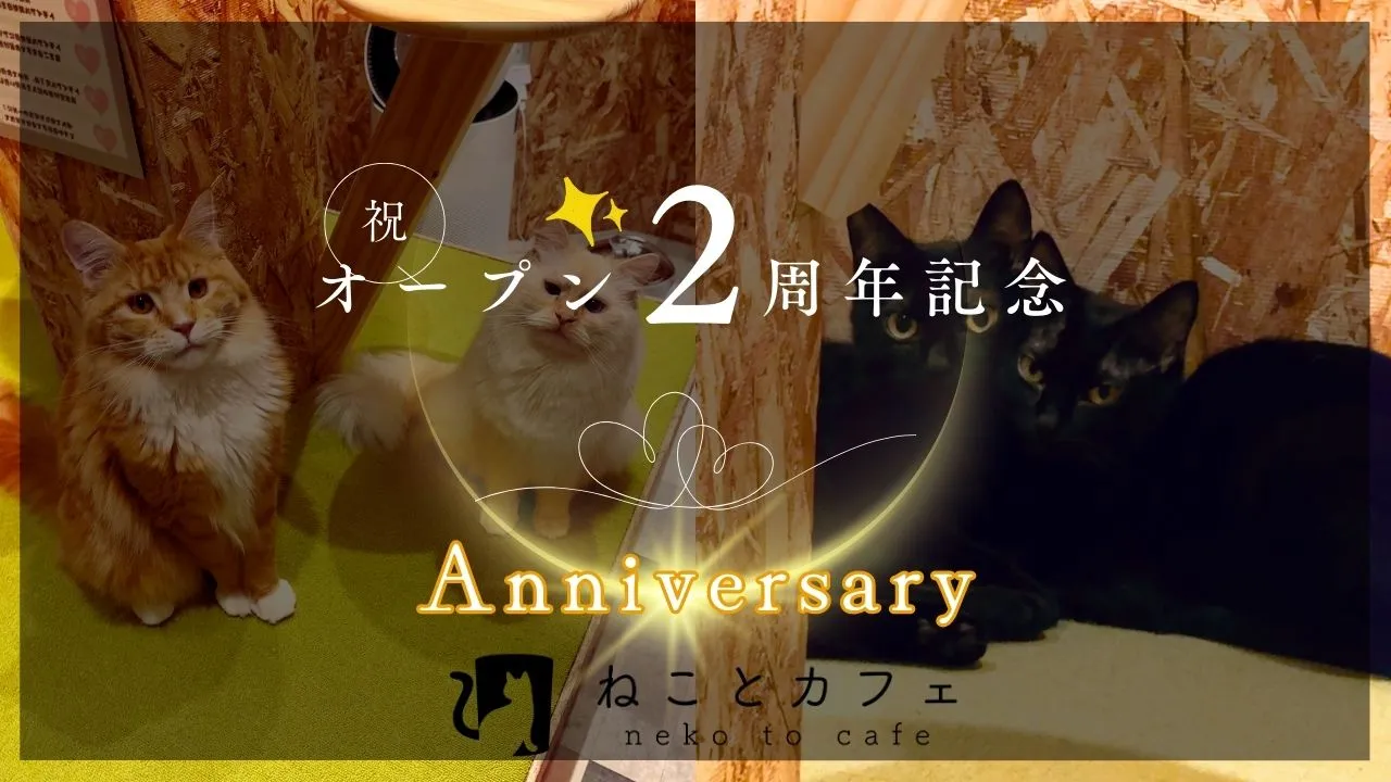 オープン2周年記念「日頃のご愛顧」に感謝を込めたアニバーサリーイベントを実施
