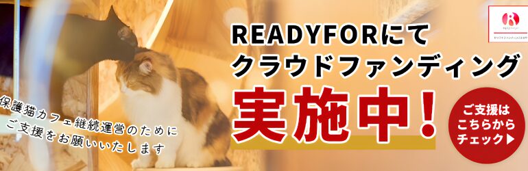 READYFOR
