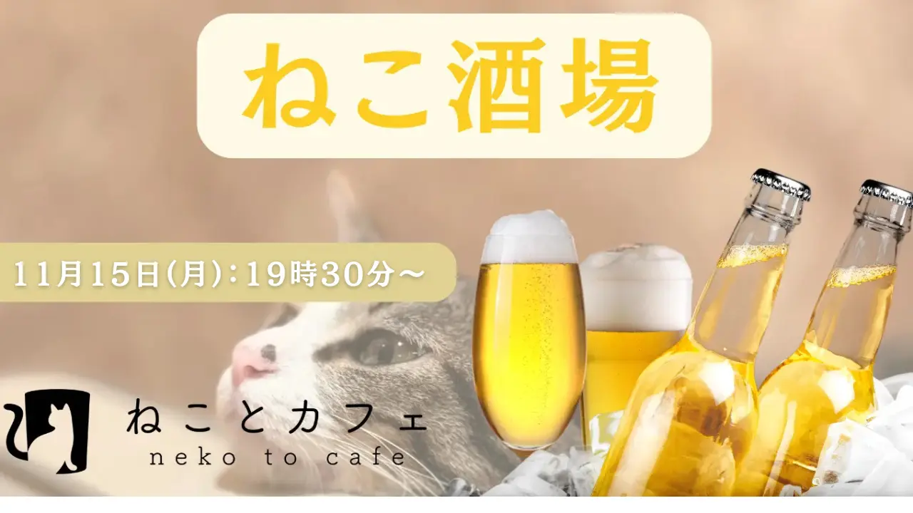 【第2回ねこ酒場】11月15日(土)の19時半～事前ご予約制にて受付開始