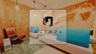 ねことカフェ大阪天王寺店のOGP
