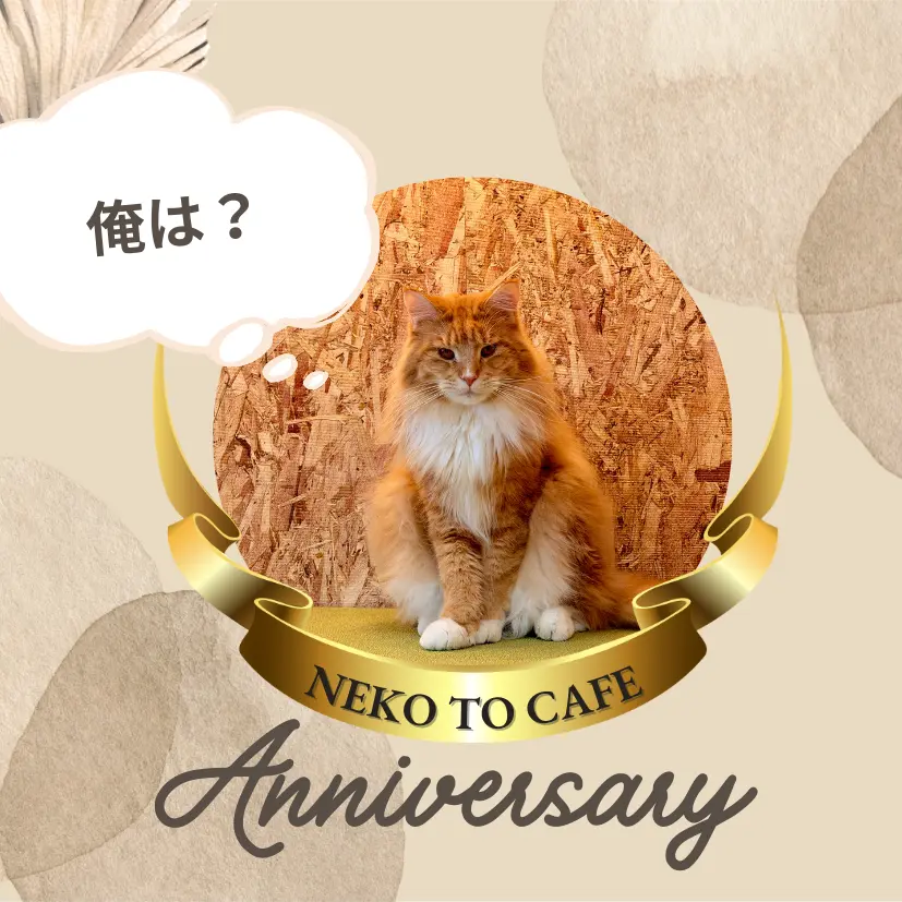 ぽむの記念画像